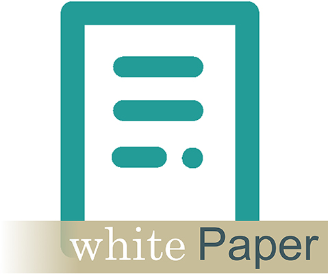 DMi White Paper